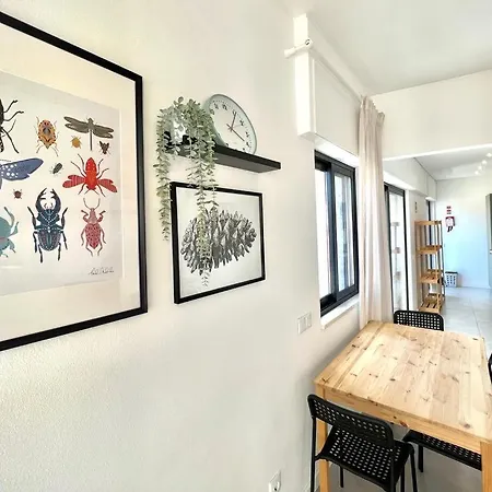 Apartament Casa Diogo *